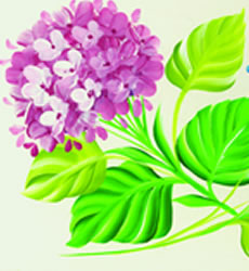 pintura flores Como fazer Pintura gestual de hortênsias 